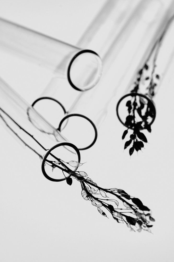 Photograph by Анастасия Ложкина