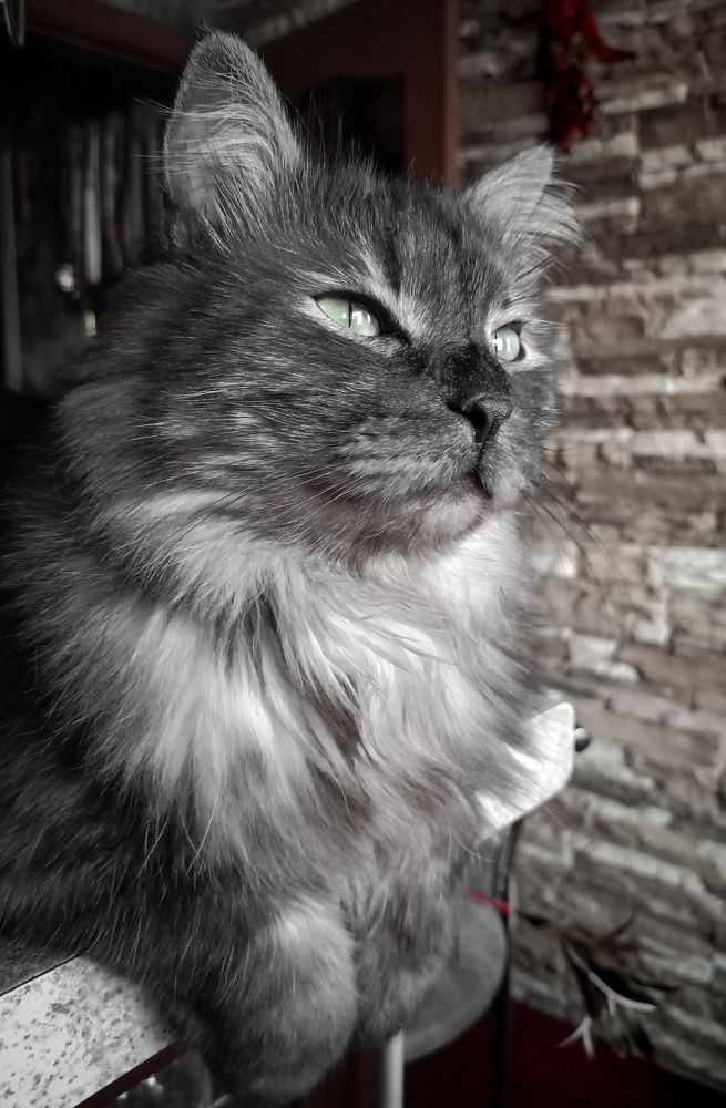 Photograph by Grigorev Andrey