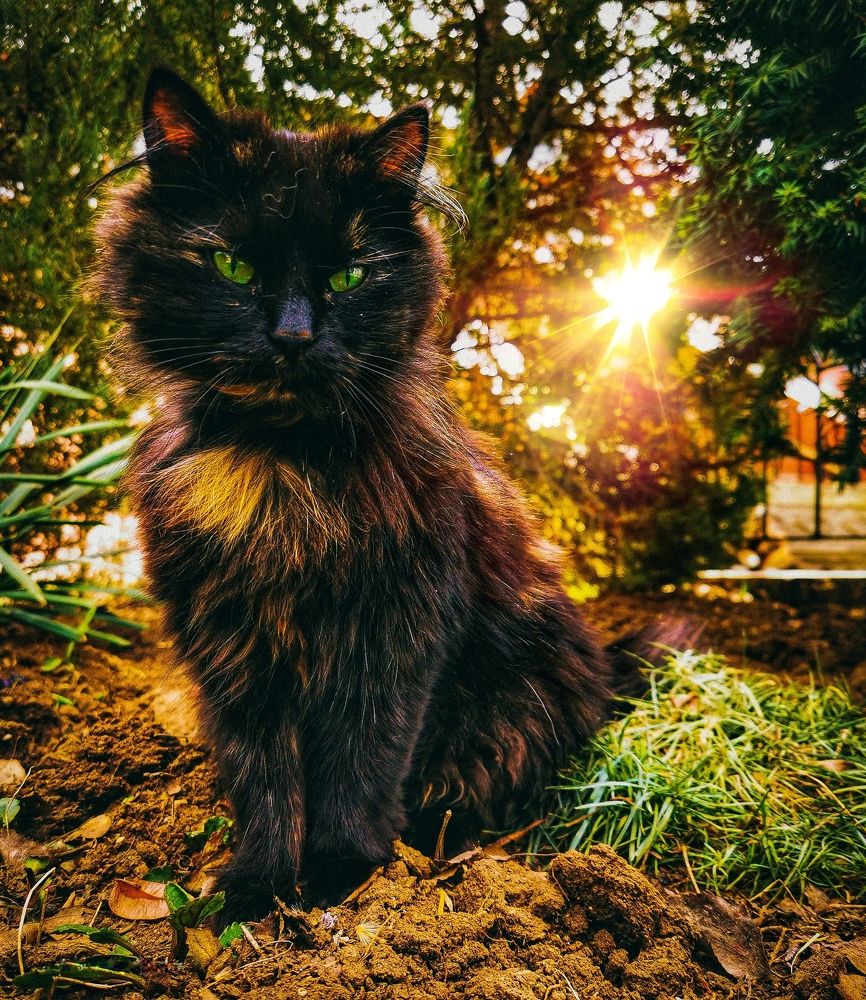 Photograph by Мария Цепилова