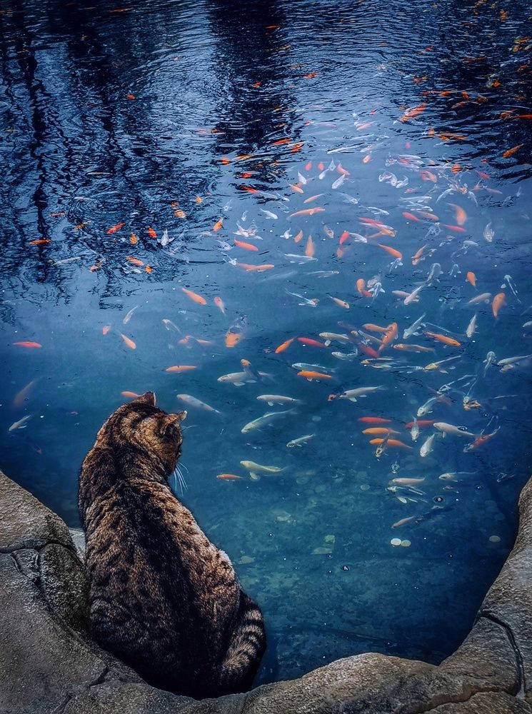 Photograph by Мария Цепилова