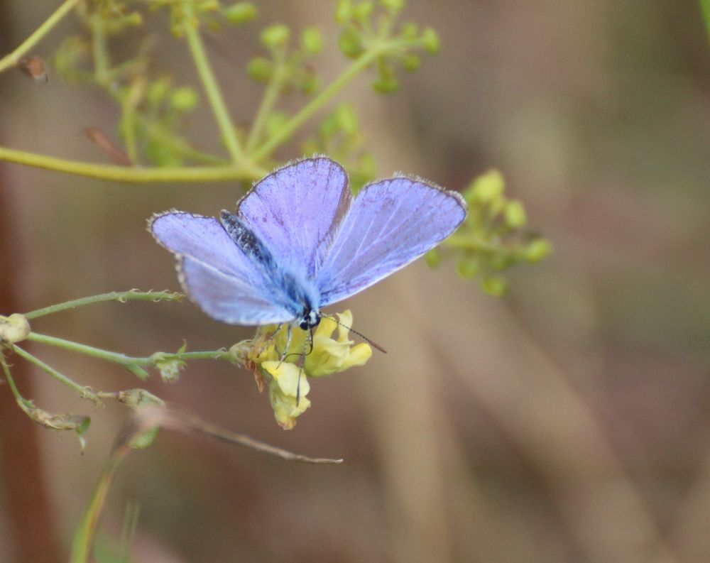 Photograph by Евгения Малафеева
