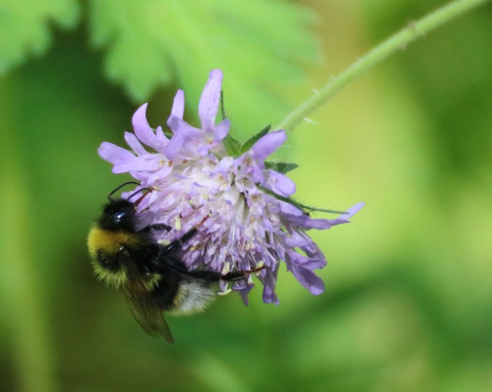 Photograph by Евгения Малафеева