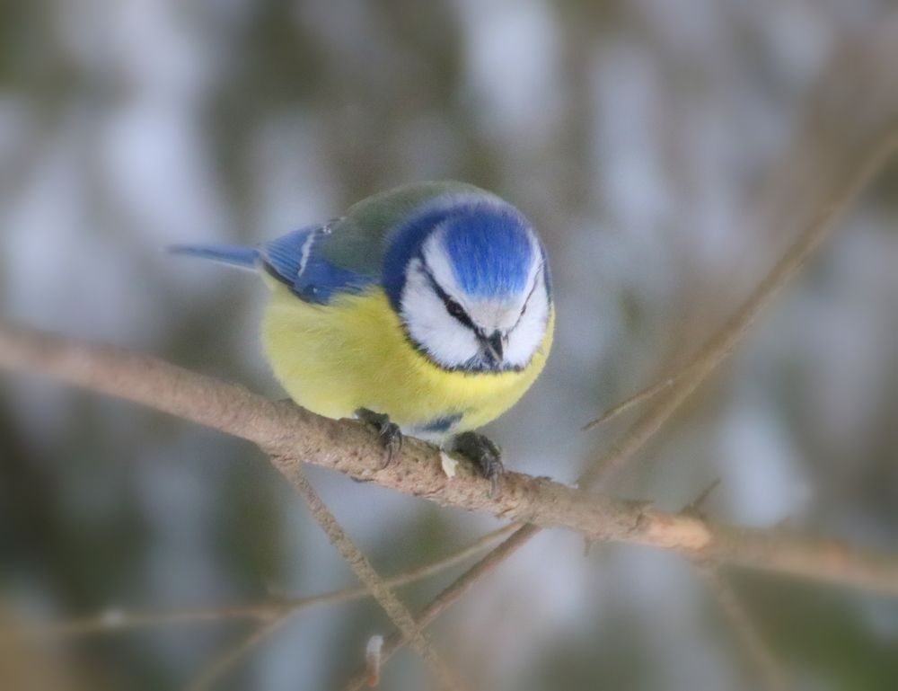 Photograph by Евгения Малафеева