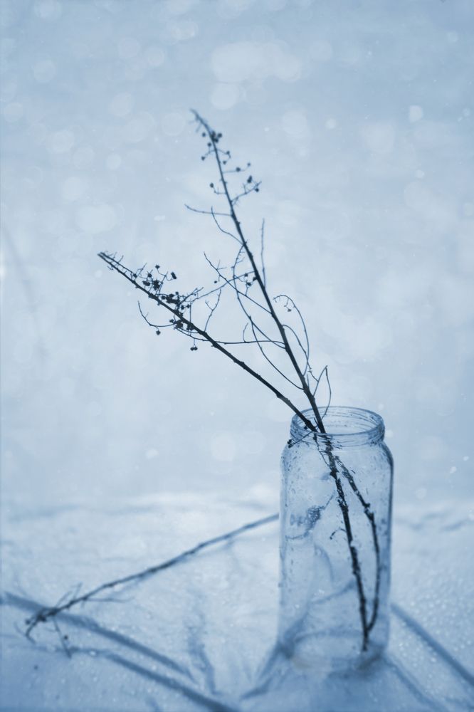 Photograph by Татьяна Аршинова