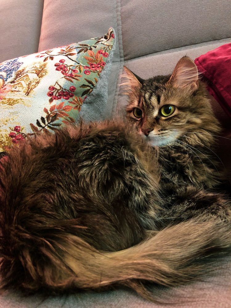 Photograph by Екатерина Усольцева