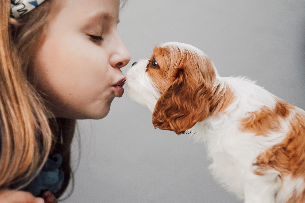 Photograph by Светлана Кондрак