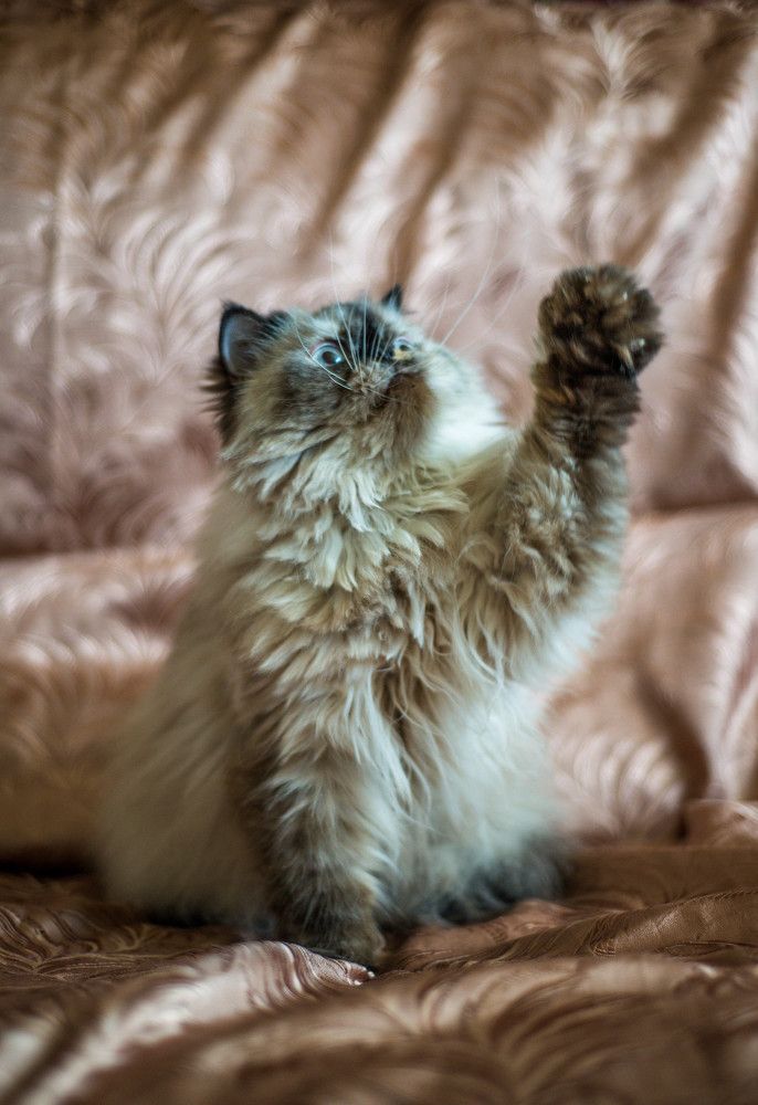 Photograph by Ирина