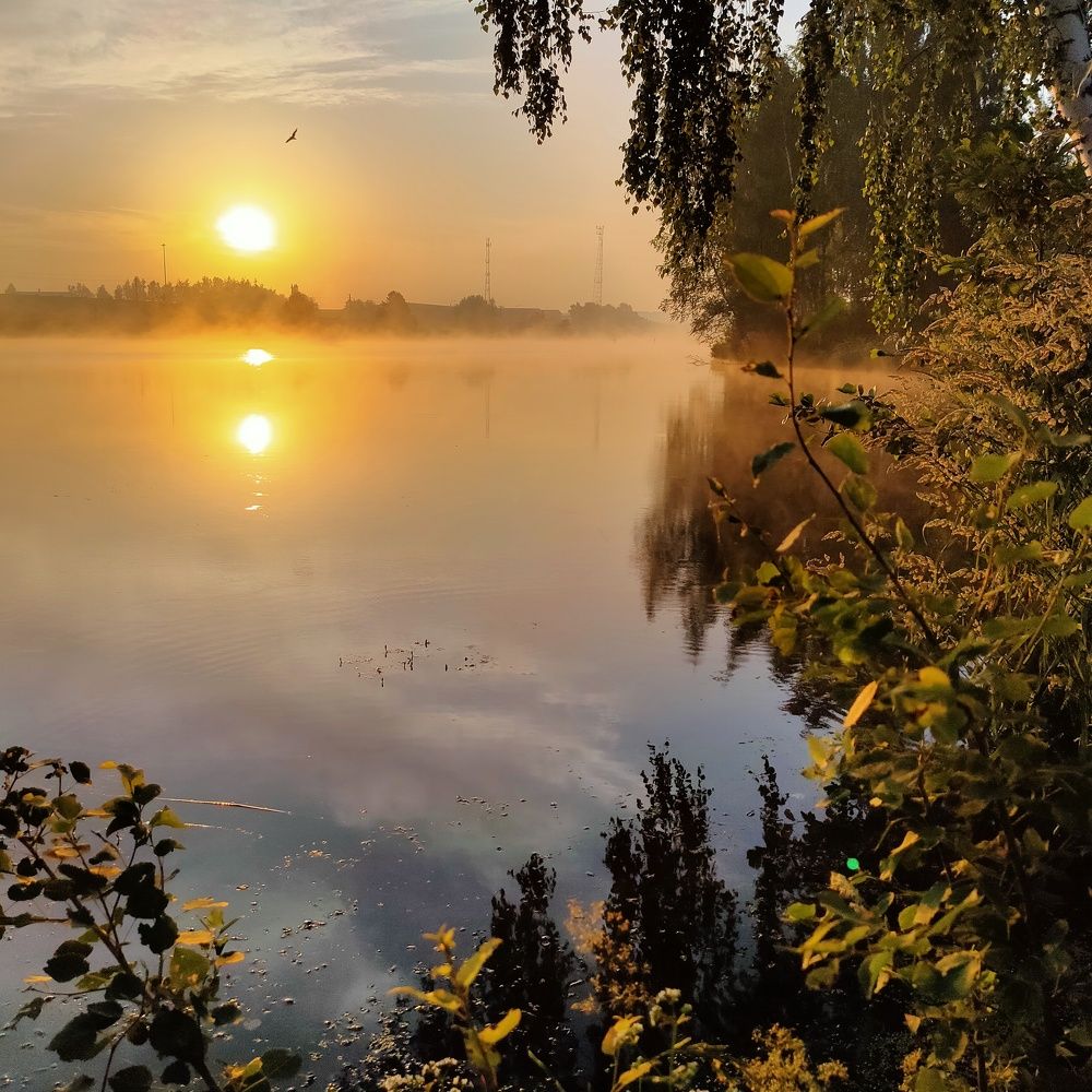 Photograph by Елена Колесникова