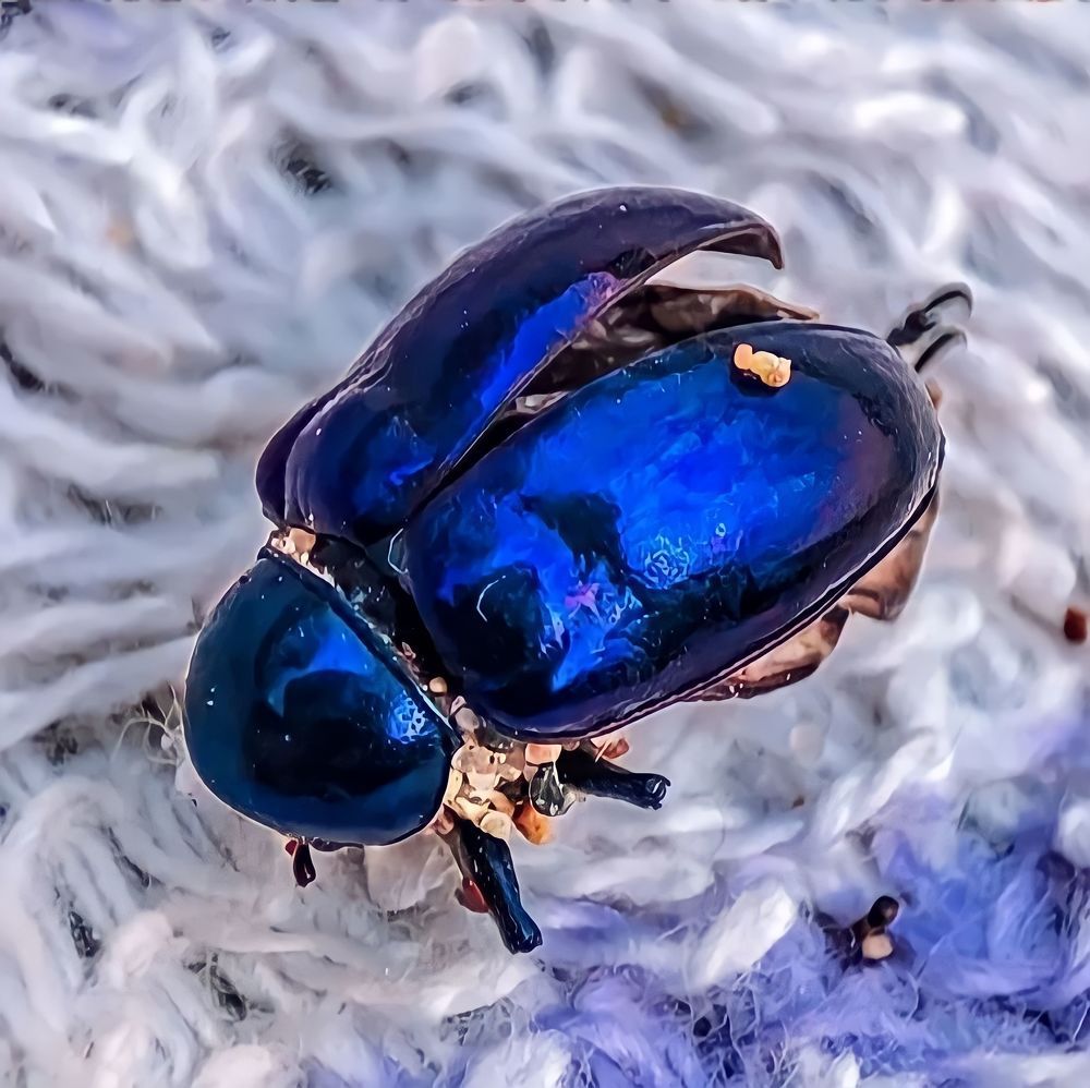 Photograph by Татьяна Радченко