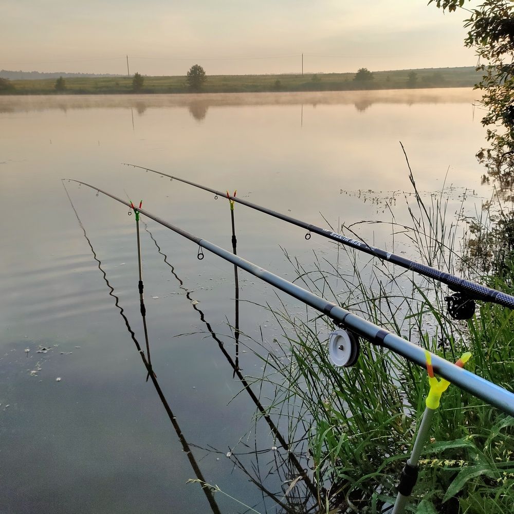 Photograph by Елена Колесникова