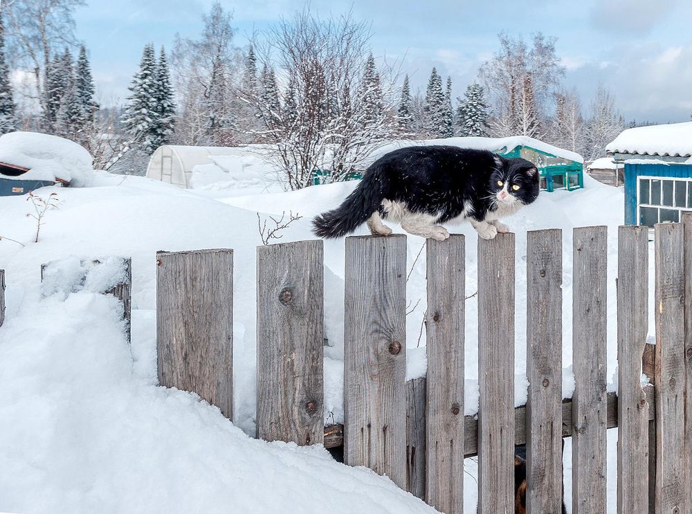 Photograph by Виктор Садырин