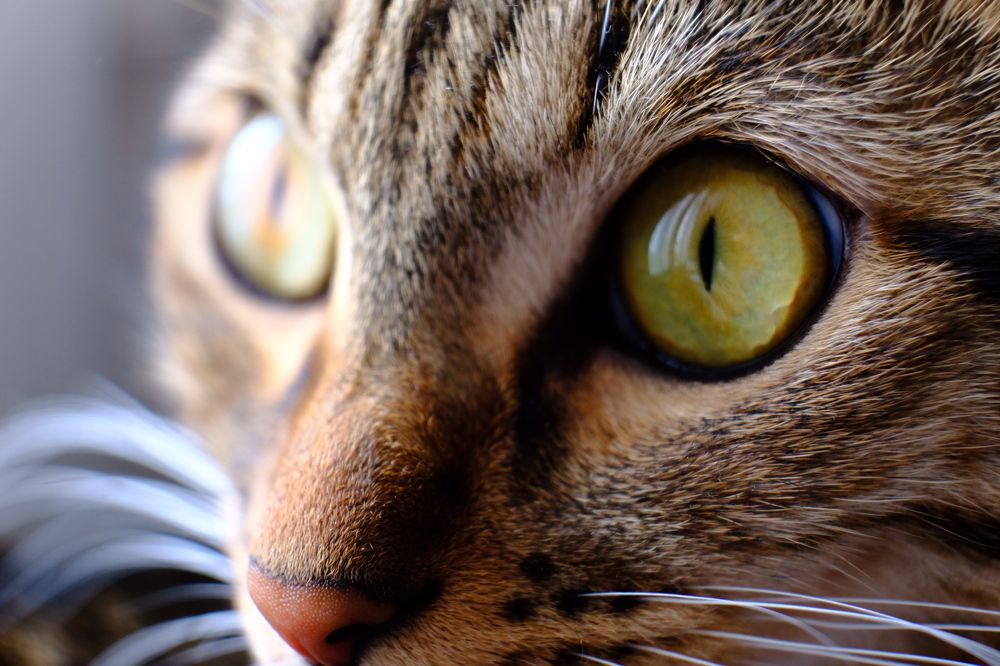 Photograph by Анастасия Ложкина