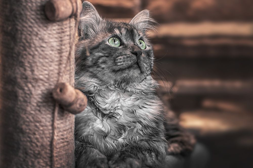 Photograph by Grigorev Andrey