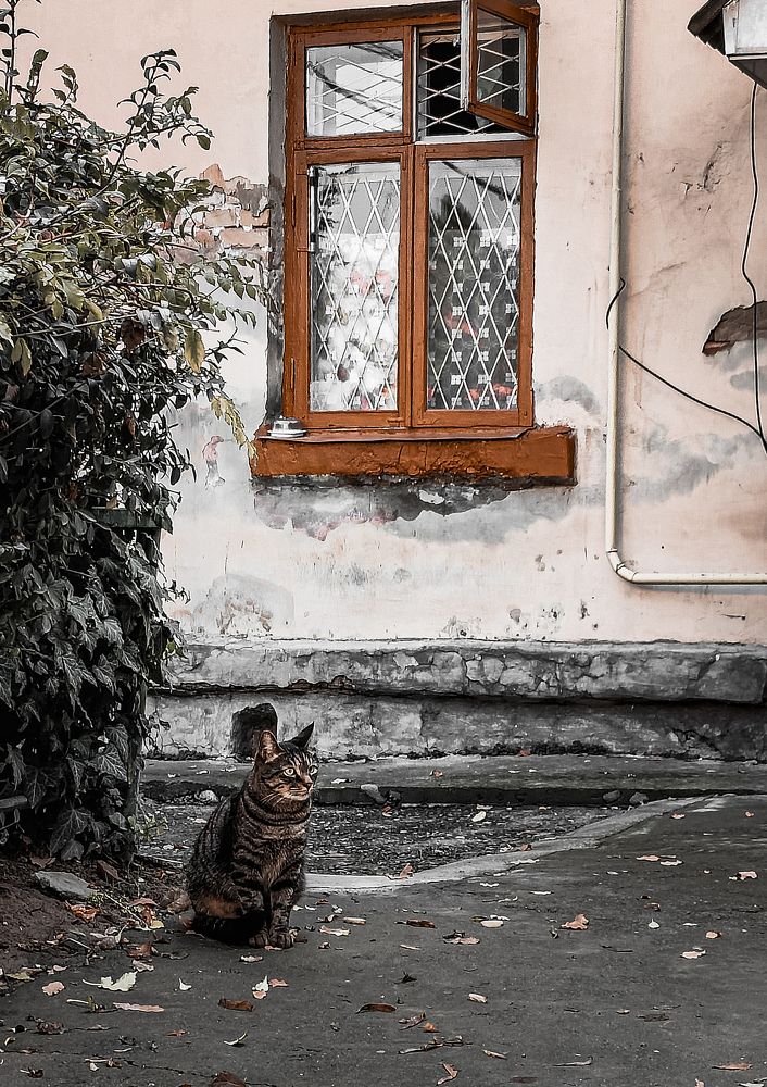 Photograph by Irina Grass