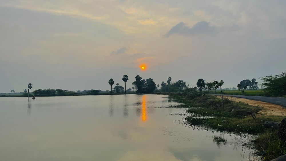 Photograph by photography