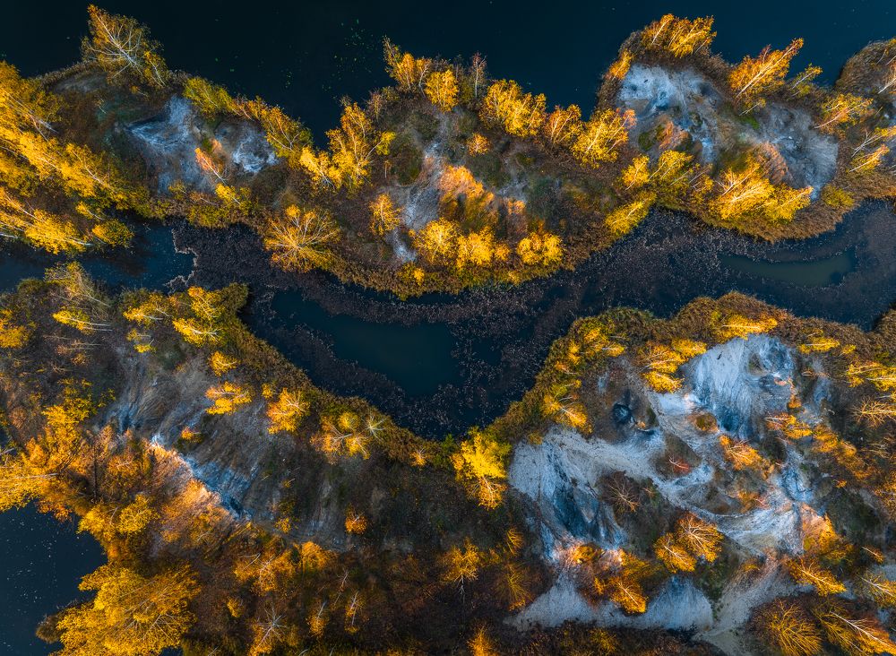 Фотография автора Гарбузов Илья