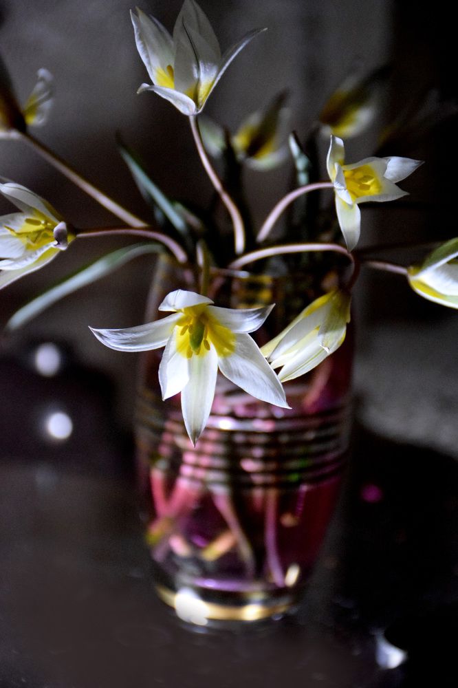 Photograph by  Татьяна Дорожко