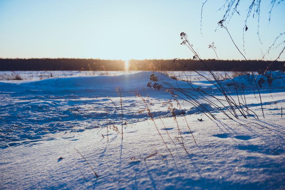 Фотография автора Григорьев Алексей