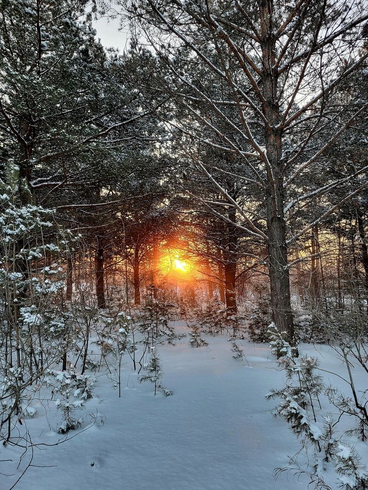 Photograph by Pavel Vorobev