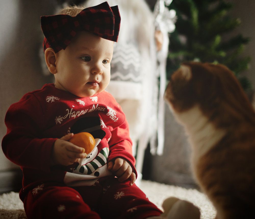 Photograph by Евгения Новоселова