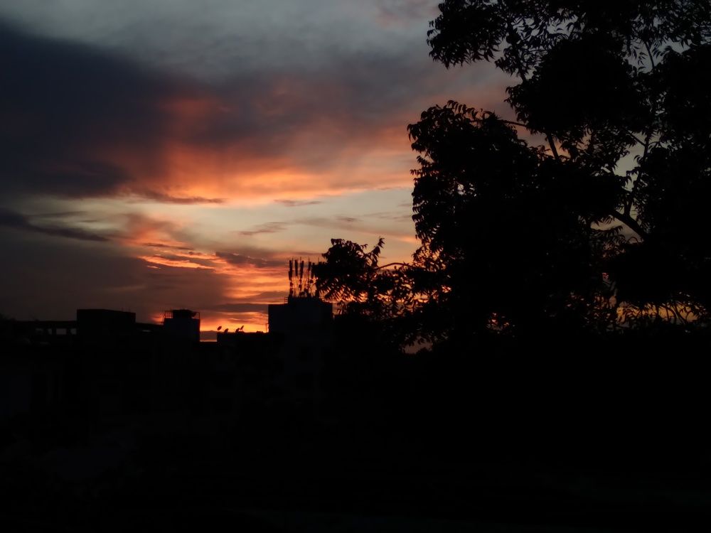Photo #8701676