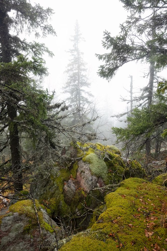 Photograph by Андраханов Олег