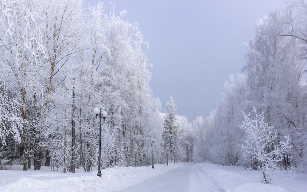 Photograph by Владимир Белобородов