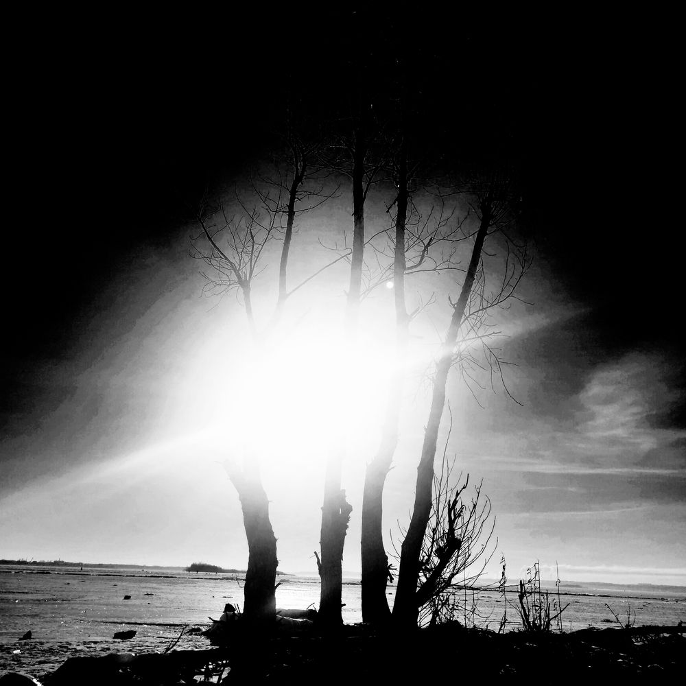 Photograph by Ольга