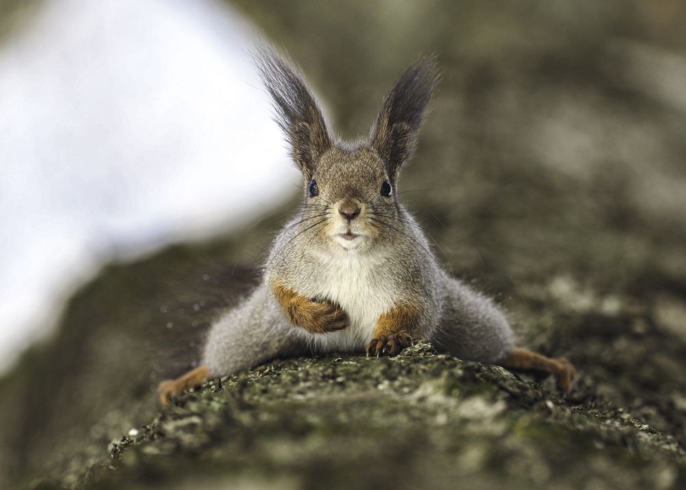 Фотография автора Mariya Belyalova