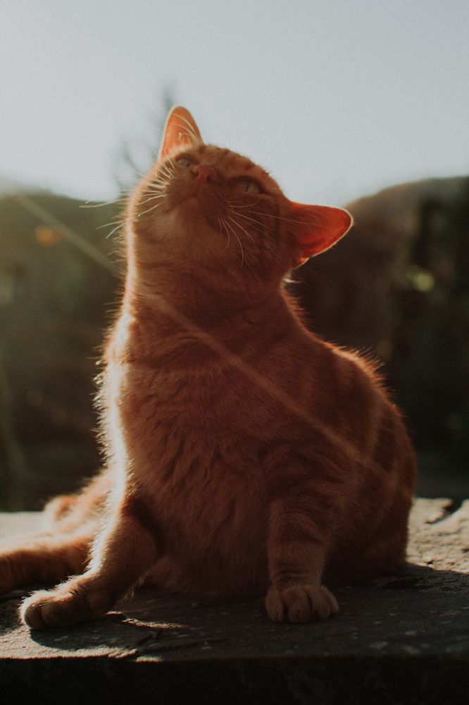 Photograph by Konstantinos Ivros