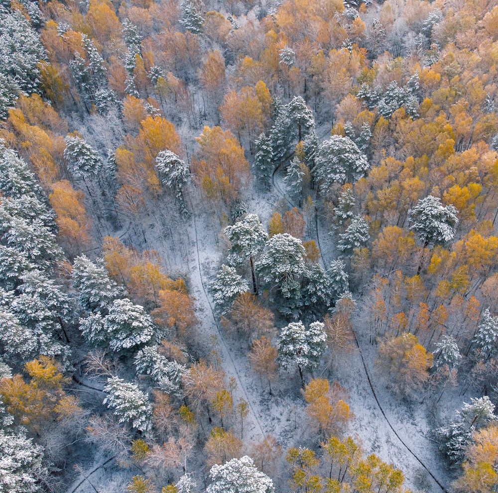 The eve of winter, autumn snow