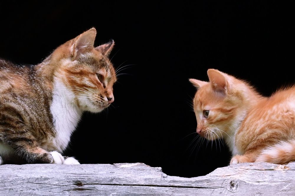 Photograph by Гусева Юлия