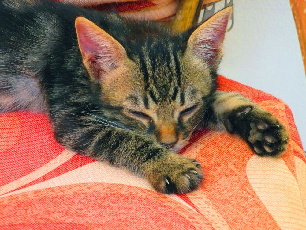 Photograph by Алексей Амилющенко