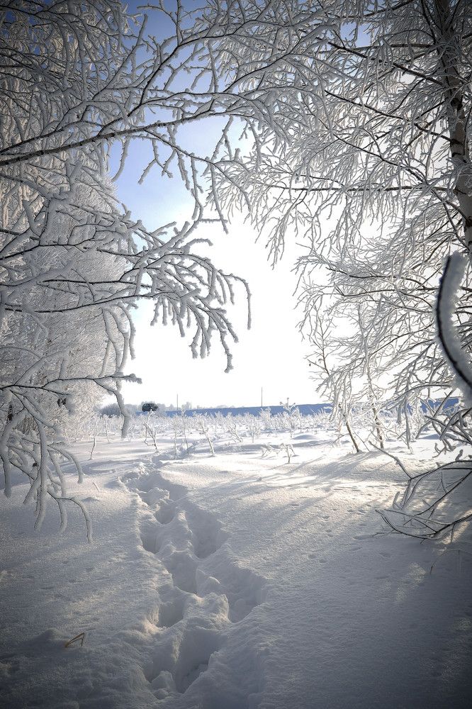 Photograph by Евгения Новоселова