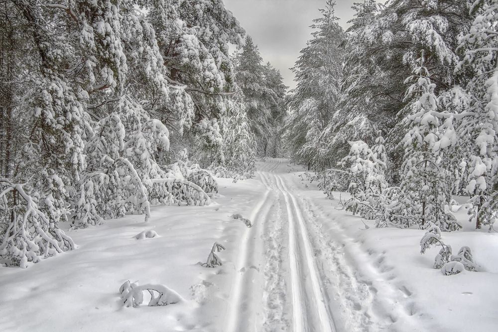 Photograph by Клясюк Галина