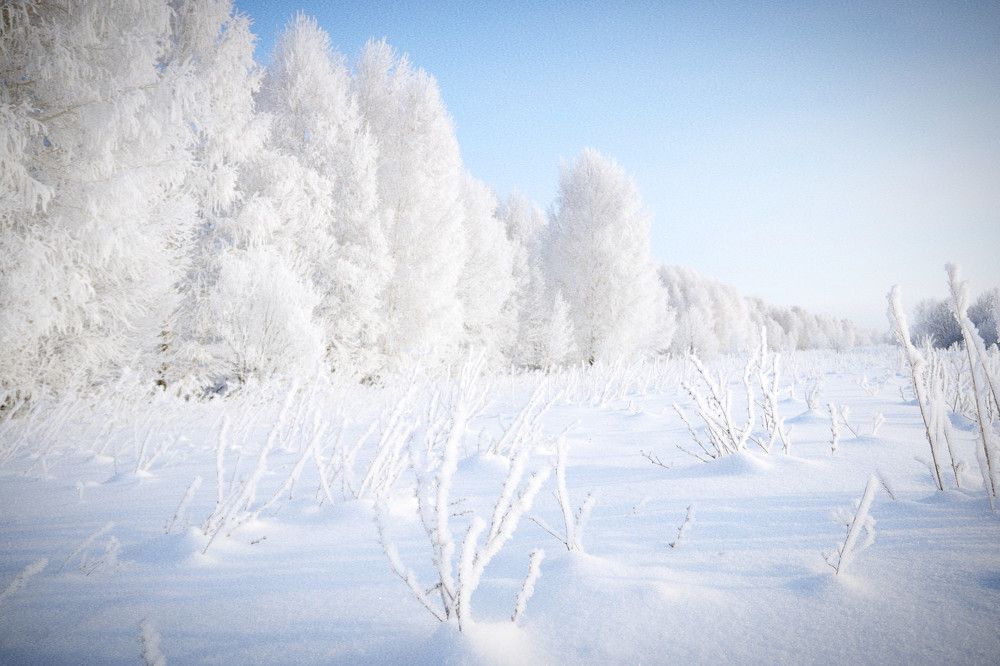 Photograph by Евгения Новоселова