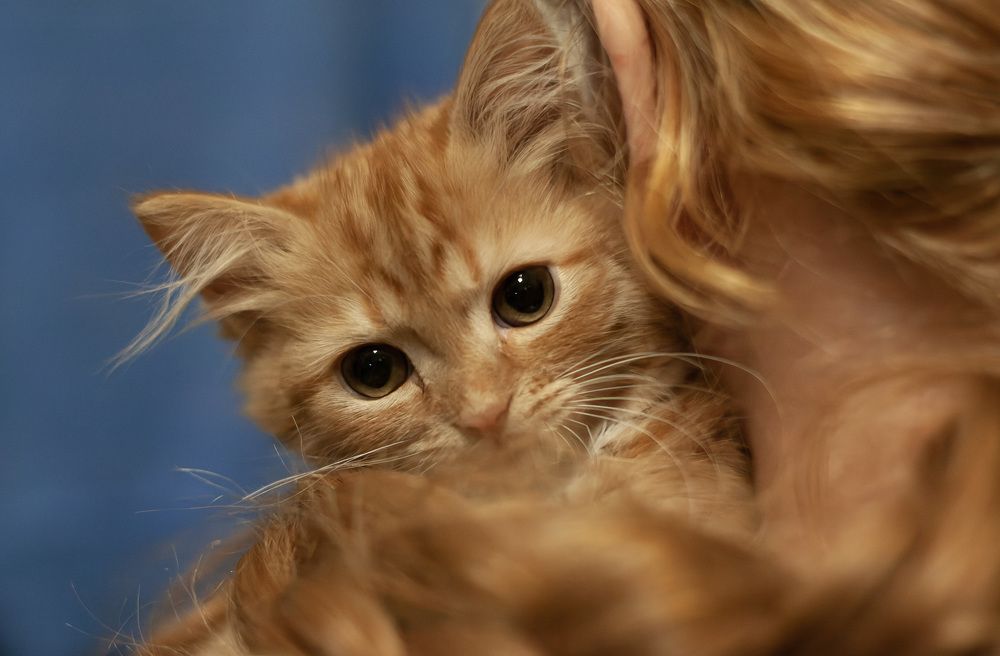 Photograph by Светлана Холодняк