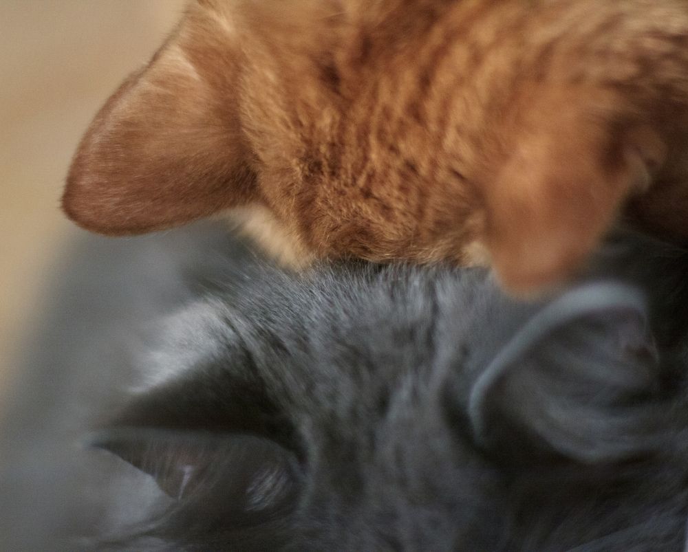 Photograph by Светлана Холодняк