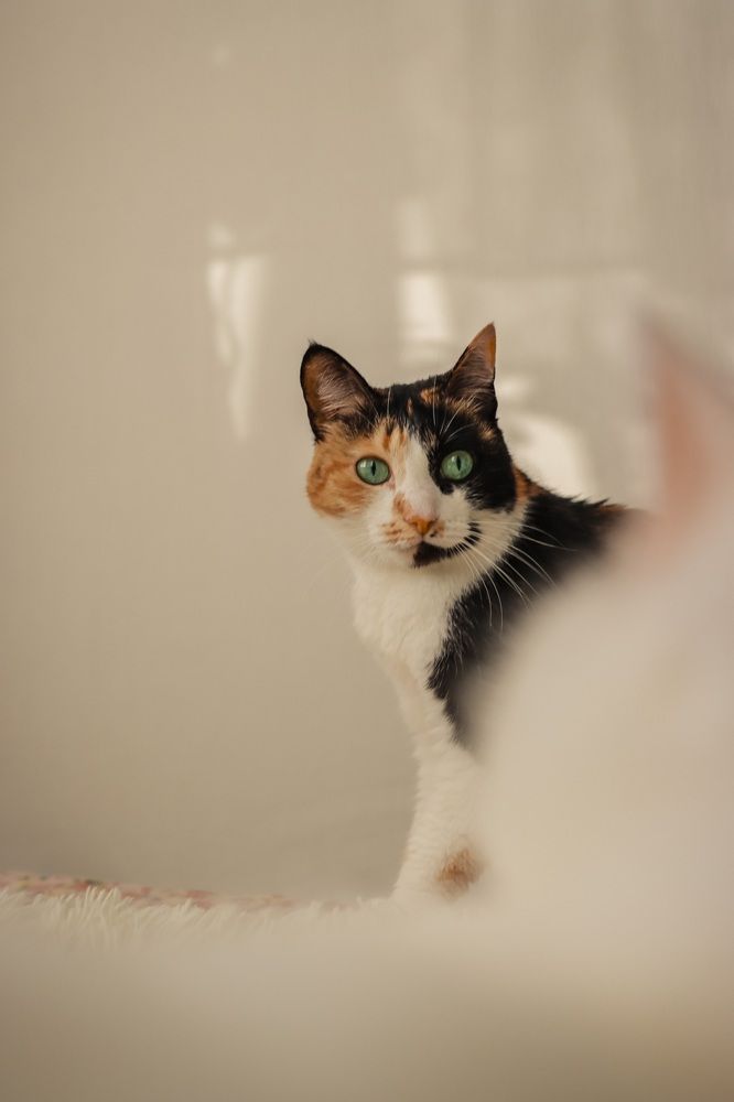 Photograph by Марина Моисеева