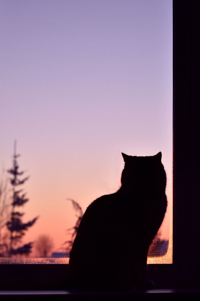 Photograph by Марина Абросимова