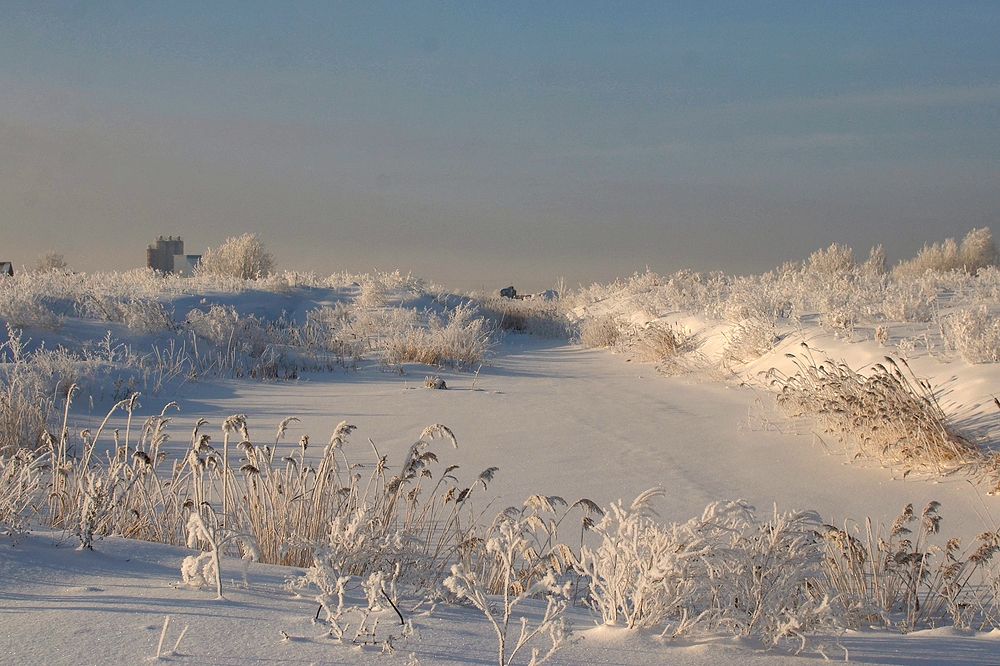 Photograph by Наталья