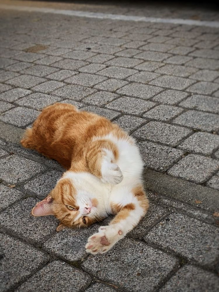 Photograph by Татьяна Семёнова