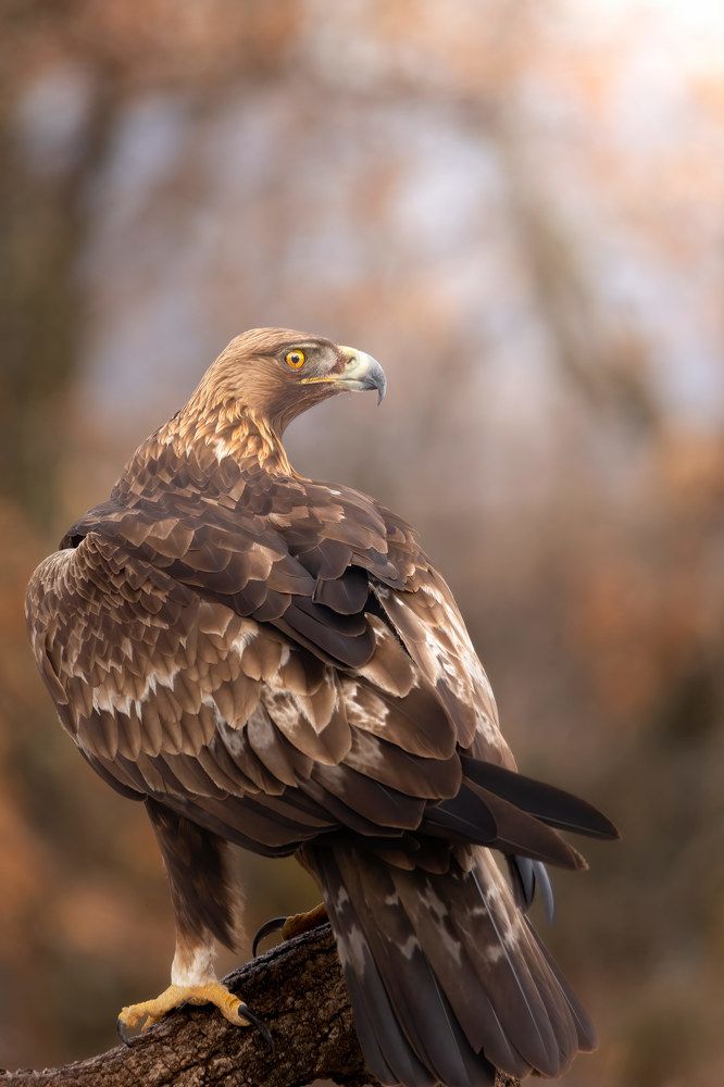 Photograph by Samuel García Rodríguez