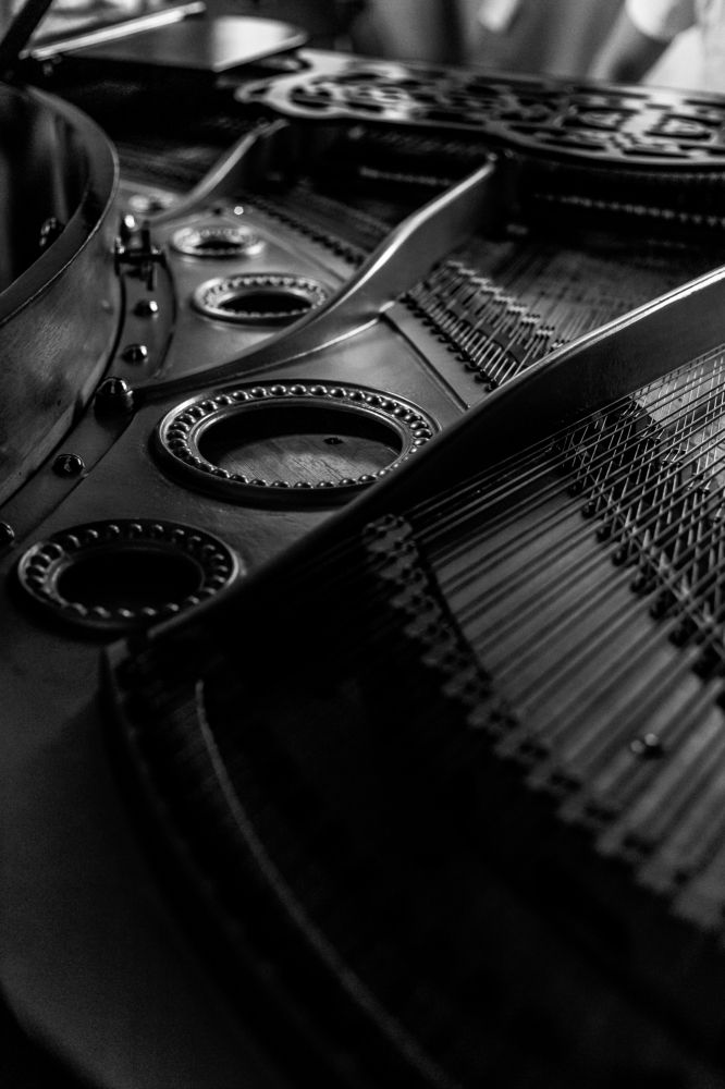 Photograph by Элина Ларченкова