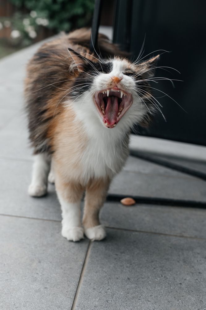 Photograph by Элина Ларченкова