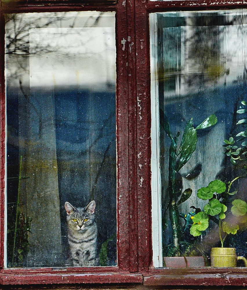 Photograph by Константин Мишнаевский