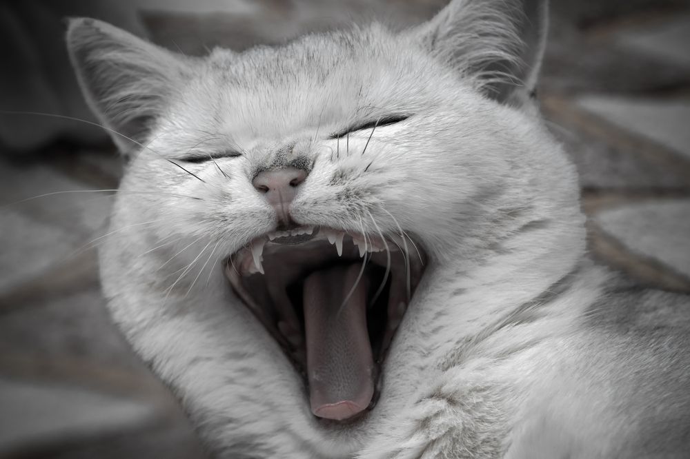 Photograph by Константин Пухов