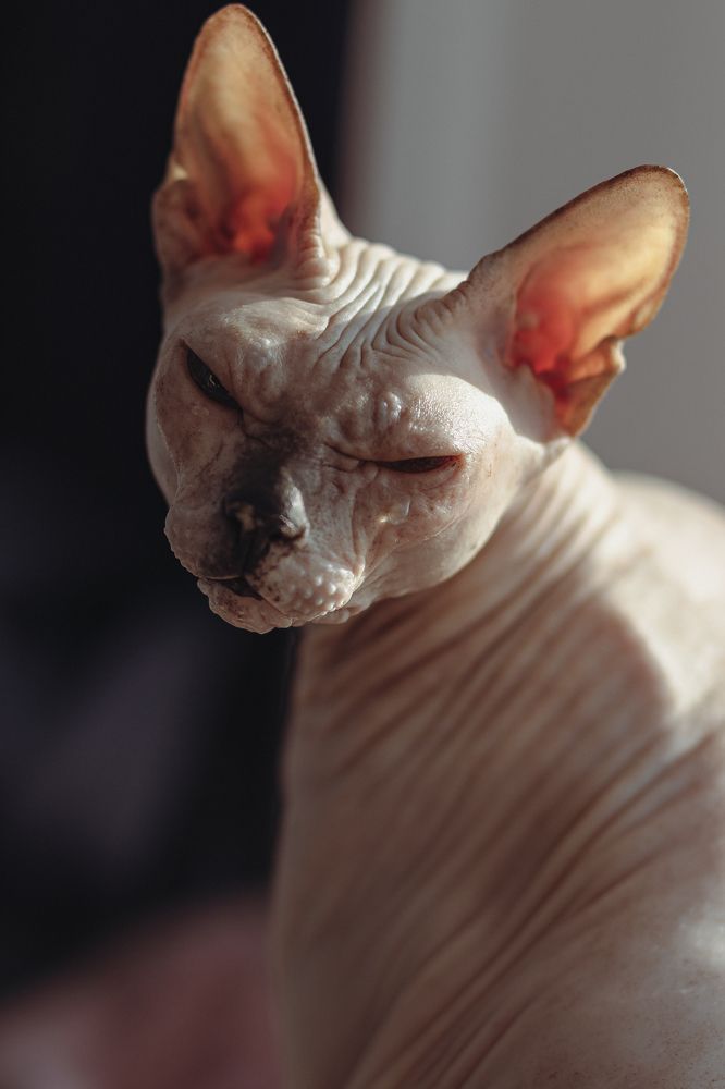 Photograph by Виктория Руснак