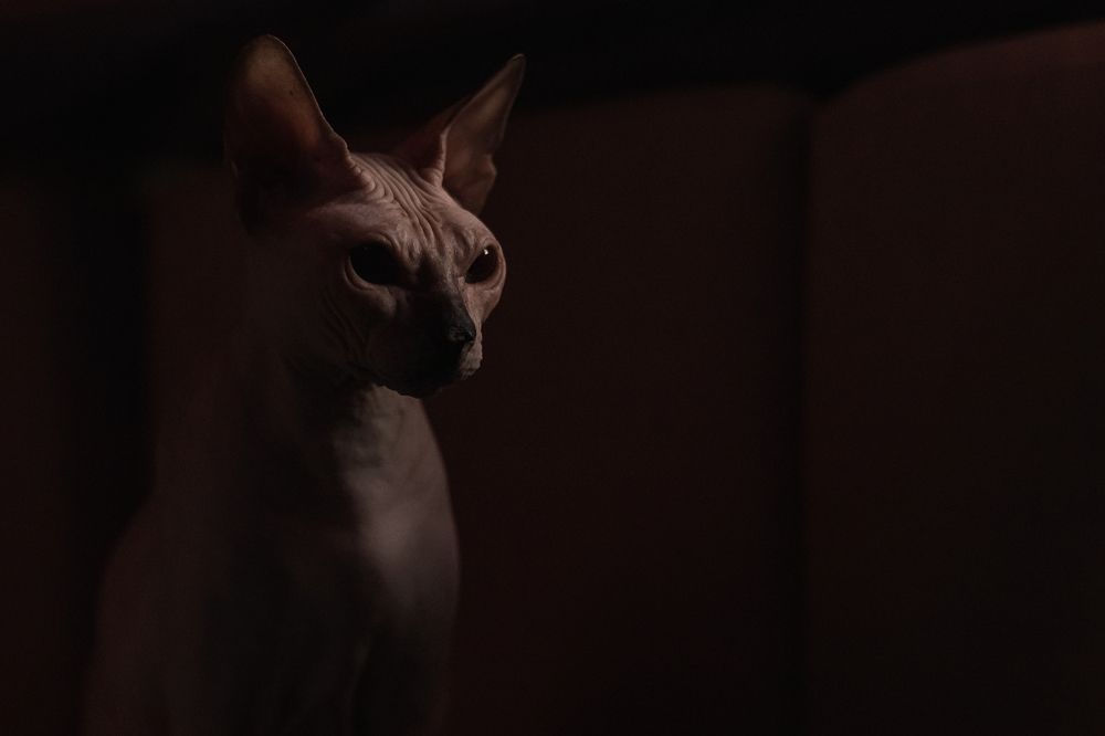 Photograph by Виктория Руснак