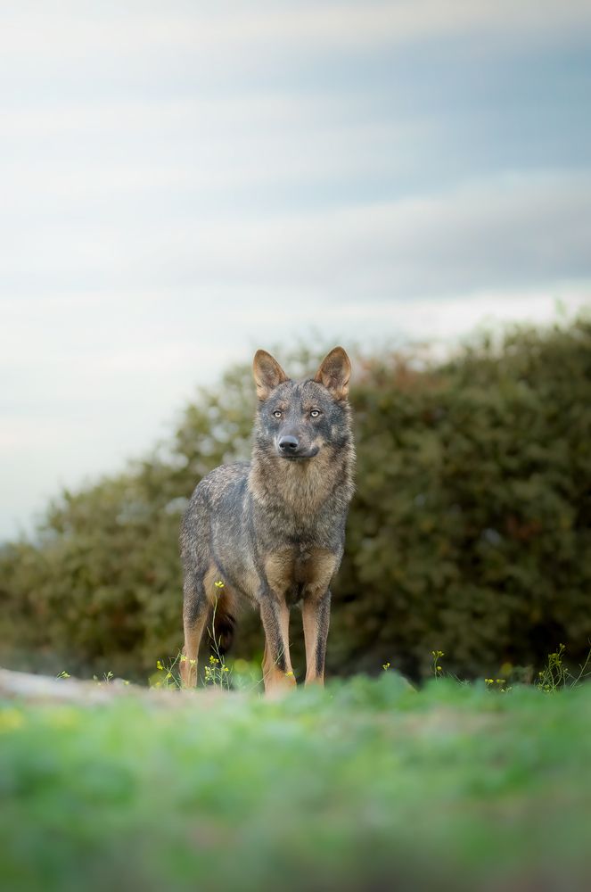 Photograph by Samuel García Rodríguez